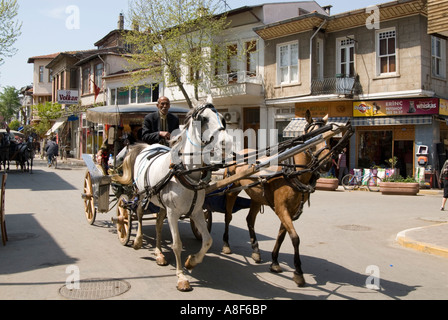 Pferd und Kutsche fahren auf Buyukada, eine der Prinzeninseln, Türkei Stockfoto