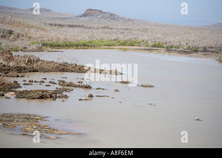 Landschaft in der Nähe von Punta Cormorant auf der Insel Floreana Galapagos Ecuador Stockfoto