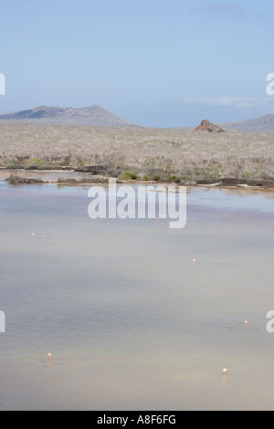 Landschaft in der Nähe von Punta Cormorant auf der Insel Floreana Galapagos Ecuador Stockfoto