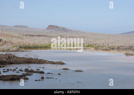 Landschaft in der Nähe von Punta Cormorant auf der Insel Floreana Galapagos Ecuador Stockfoto