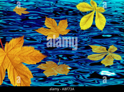 Fallende Blätter im Herbst Stockfoto