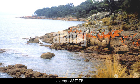 Bisheno Beach-Tasmanien-Australien Stockfoto