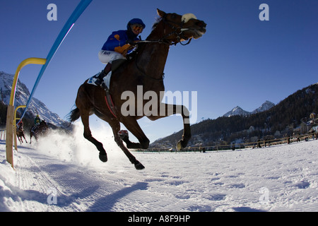 Pferderennen Sie auf dem Eis aus dem "White Turf" treffen auf dem zugefrorenen See in St. Moritz, Schweiz. Stockfoto