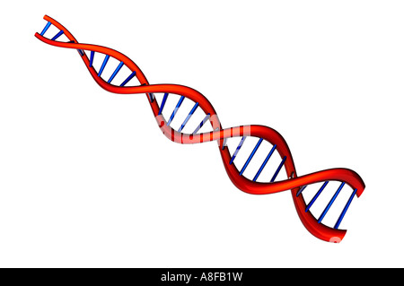 DNA-Molekül Stockfoto