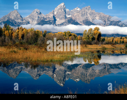 Grand Teton Nationalpark Wyoming im Herbst mit Gipfeln spiegelt sich in einem gläsernen Biber Teich entlang des Snake River Stockfoto