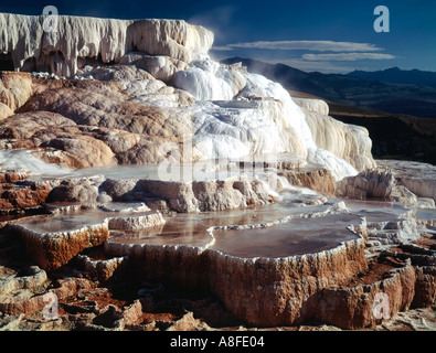 Mammoth Hot Springs und der Minerva Terrasse im Yellowstone-Nationalpark, Wyoming Stockfoto