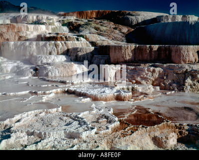 Mammoth Hot Springs und der Minerva Terrace im Yellowstone-Nationalpark, Wyoming Stockfoto