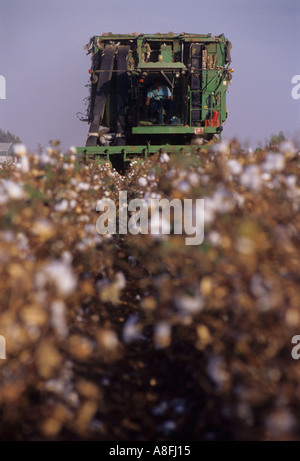 Baumwolle-Mähdrescher in Baumwolle Bereich Andalusien Spanien Stockfoto