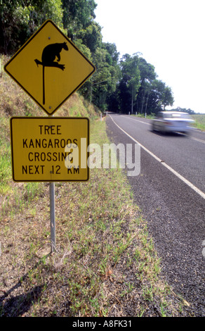 Verkehrszeichen Achtung Darstellung ein Baumkänguru Lumholtz Baum Kangaroo Dendrolagus Lumholtzi Queensland Australien Stockfoto