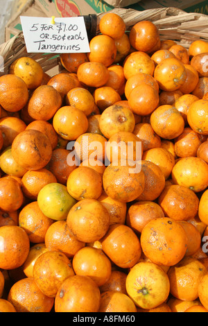 Miami Beach Florida, North Beach, Normandie Isle, Bauernmarkt, Bauernmarkt, Bauern, Produkte, Obst, Gemüse, Gemüse, Lebensmittel, Produkte, Verkäufer Stockfoto