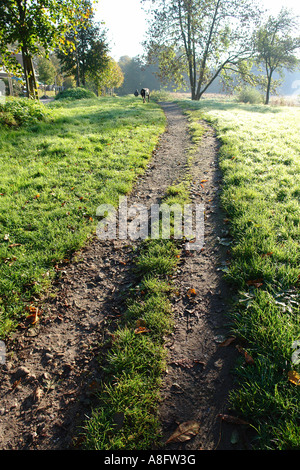 Wohldorfer Wald Naturschutzgebiet Hamburg Deutschland Stockfoto