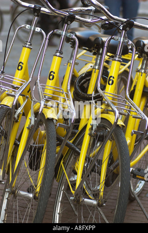 Vier identische Gelb Fahrradverleih Fahrräder in Amsterdam Stockfoto