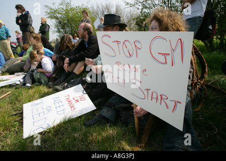 Demonstration gegen GV-Kartoffel ernten Cambridgeshire England UK Stockfoto