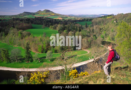 Hill Walker Walker Blick über den Fluss Tweed die Eildon Hills in der schottischen Grenzen Scotland UK Stockfoto