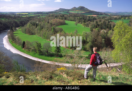 Hill Walker Walker auf der Suche durch die Biegung im Fluss Tweed die Eildon Hills in der schottischen Grenzen Scotland UK Stockfoto