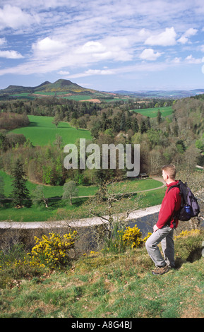 Walker, Blick über den Fluss Tweed die Eildon Hills in der schottischen Grenzen Scotland UK Stockfoto