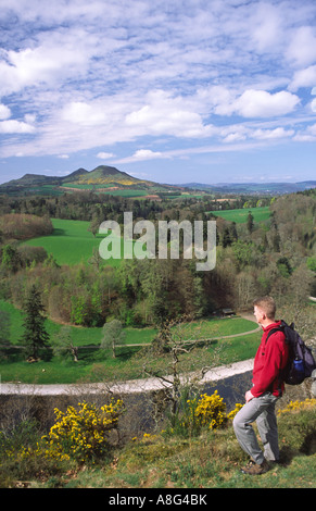 Walker, Blick über den Fluss Tweed die Eildon Hills in der schottischen Grenzen Scotland UK Stockfoto