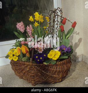 Korb mit verschiedenen Blumen Stockfoto