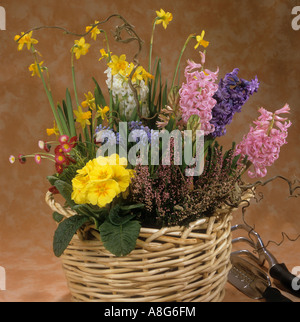 Korb mit verschiedenen Blumen Stockfoto