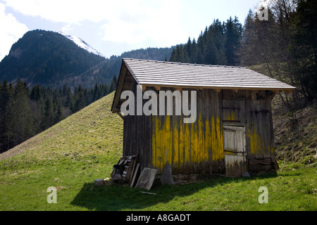 Baufälligen Schuppen mit gelber Farbe und Tür, Französische Alpen, Morzine-Avoriaz, Frankreich. Stockfoto