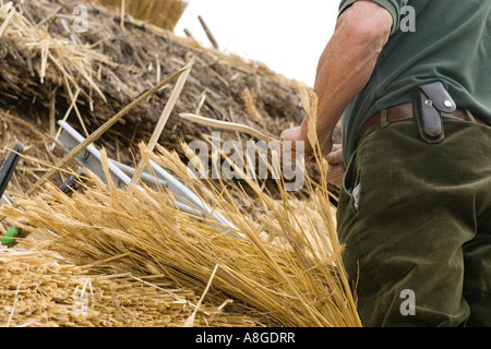 Thatcher verdrehen Spar für neue Stroh Stroh auf Dach Stockfoto