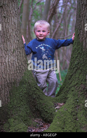 Kleiner Junge Klettern durch alte Rundschnitt Eiche (Quercus Rober) Stockfoto