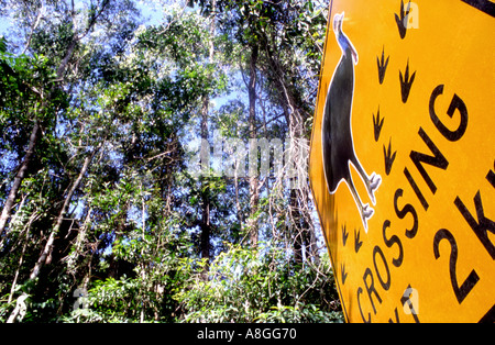 Ein Schild zeigt die Gefahr für die Frösche, die Kreuzung in der Nähe von Mission Beach Far North Queensland Australien