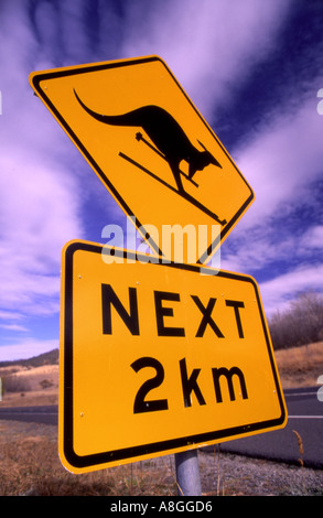 Schild Warnung zeigt ein Känguru in diesem Fall auf Skiern von Öffentlichkeit mit LKW vorbei Kosciuszko Region hinzugefügt Stockfoto
