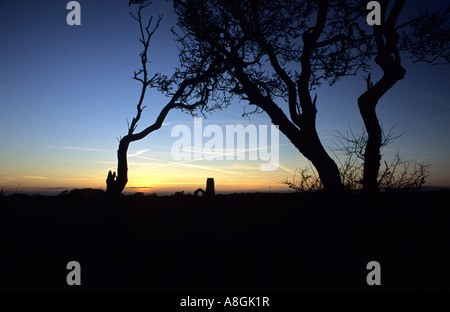 Die Kirche des Hl. Andreas am Covehithe in Suffolk Uk Stockfoto