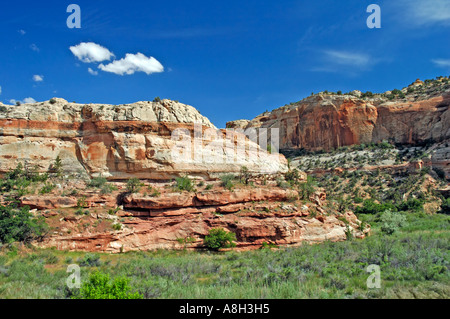 Landschaft auf dem Weg zu den Calf Creek Falls Stockfoto