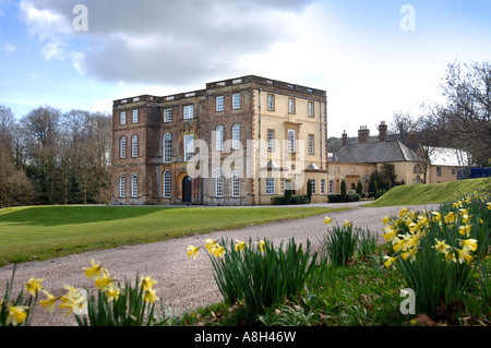 HALSWELL HAUS MIT FEDER NARZISSEN IN DER NÄHE VON BRIDGWATER SOMERSET UK APRIL 2007 Stockfoto