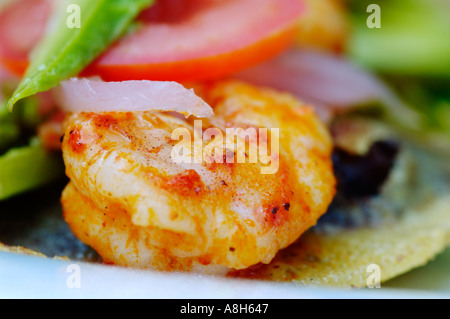 Mexikanisches Essen, Panuchos Stockfoto