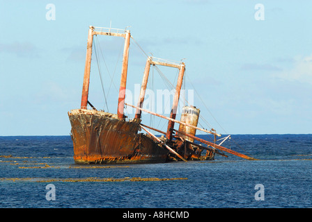 Polisini griechischen Wrack Kinsei Maru Silber Banken Marine Sanctuary Dominikanische Republik Karibik Stockfoto