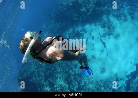 Schnorcheln an der Polisini griechischen Wrack Kinsei Maru Silber Banken Marine Sanctuary Dominikanische Republik Karibik Stockfoto