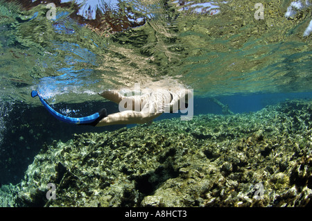 Schnorcheln an der Polisini griechischen Wrack Kinsei Maru Silber Banken Marine Sanctuary Dominikanische Republik Karibik Stockfoto