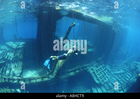 Schnorcheln an der Polisini griechischen Wrack Kinsei Maru Silber Banken Marine Sanctuary Dominikanische Republik Karibik Stockfoto