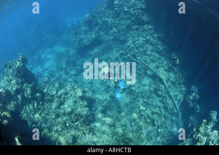 Schnorcheln an der Polisini griechischen Wrack Kinsei Maru Silber Banken Marine Sanctuary Dominikanische Republik Karibik Stockfoto