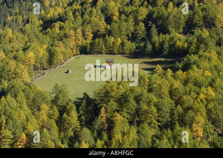 Tiroler Bauernhof auf der Weide unter Lärche Bergwald Stockfoto