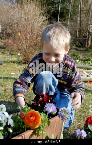 Sieben Jahre alter Junge Pflanzen Blumen im Frühjahr Stockfoto