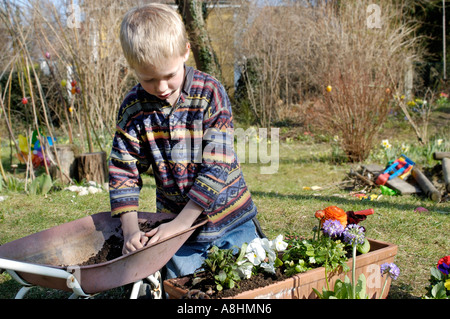 Sieben Jahre alter Junge Pflanzen Blumen im Frühjahr Stockfoto