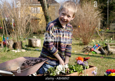 Sieben Jahre alter Junge Pflanzen Blumen im Frühjahr Stockfoto