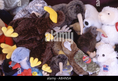 Zusammenfassung von ikonischen Kiwi Souvenirs vor einem Geschäft Christchurch Neuseeland Stockfoto