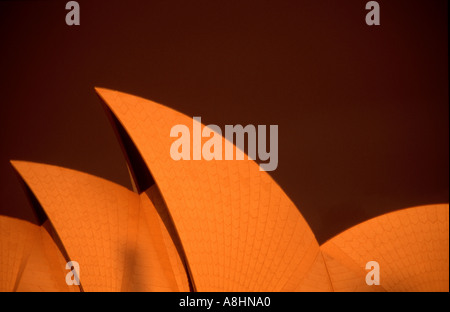 Sydney Opera House Detail im Morgengrauen Australien Sydney Harbour Stockfoto