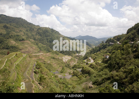 Reis Terrassen, Banaue, Nord-Luzon, Philippinen Stockfoto