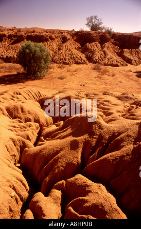 Kanäle in den roten outback Boden neben einem trockenen Flussbett im australischen Outback geschnitten Stockfoto