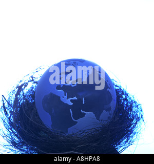 BLAUE GLASKUGEL IN EINEM VOGELNEST Stockfoto