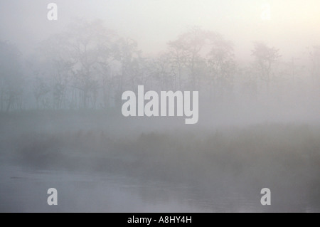 Bodennebel über Fluss im Morgenlicht Stockfoto