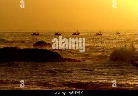 Fischereiflotte, Segeln, Meer bei Sonnenuntergang, Essaouira, Marokko Stockfoto