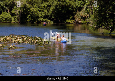 Florida Wildnis Kajak Stockfoto