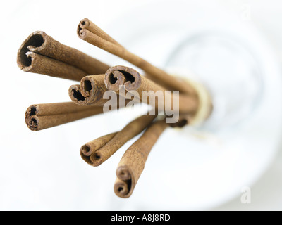 Zimt würzen sticks stehen oben im Glas von hellen weißen Fensterhintergrund von oben beleuchtete erschossen Stockfoto